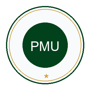Project Management and Implementation Unit PMU