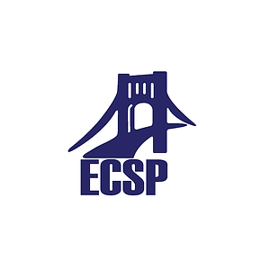 Engineering Consultancy Services Punjab ECSP