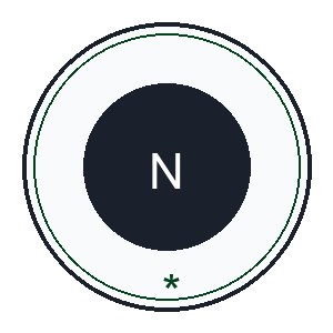 Nexsoll