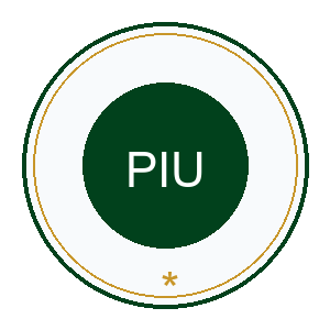 Project Implementation Unit PIU