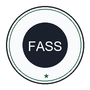 Financial Audit and Supervisory Services