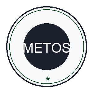 Middle East Trade and Outreach Services