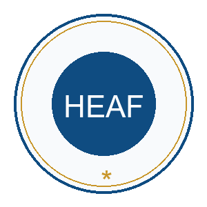 Higher Education Academic Faculty Group