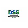 DSS Group