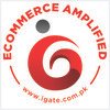 iGate Technologies Pakistan